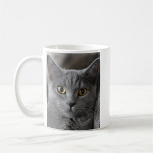 MUG CAFE PHOTO PERSONNALISÉ CHAT ANIMAL COMPAGNIE