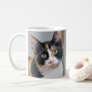 Mug Calico Cat