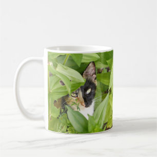 Mug Calico Cat dans les Zinnias