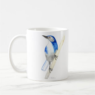 Mug California Scrub Jay