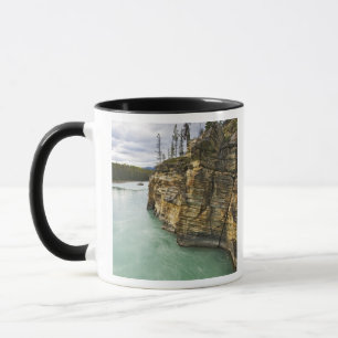 Mug Canada, Alberta, parc national de Jasper, Athabasc