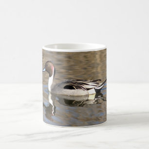 Mug Canard à queue pointue nage dans un étang