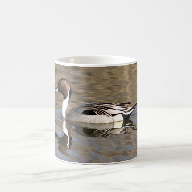Mug Canard à queue pointue nage dans un étang (Centre)