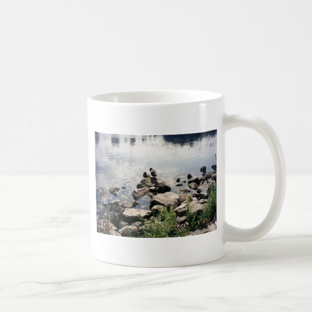 Mug canards dans une rivière (Droite)