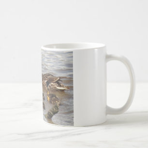 Mug Canards de mère et de bébé sur la rivière
