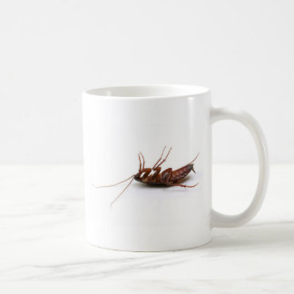 Mug Cancrelat mort