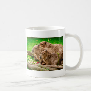 Mug Capybara Trio