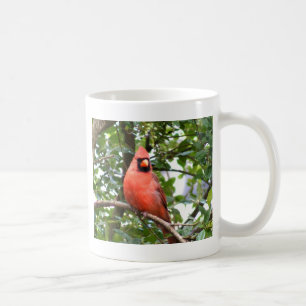 Mug Cardinal dans l'arbre