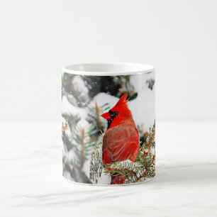 Mug Cardinal dans un pin