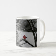 Cardinal des neiges