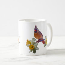 Cardinal et jonquilles -