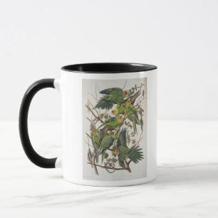 Mug Carolina Parakeet, de 'Birds of America', 1829