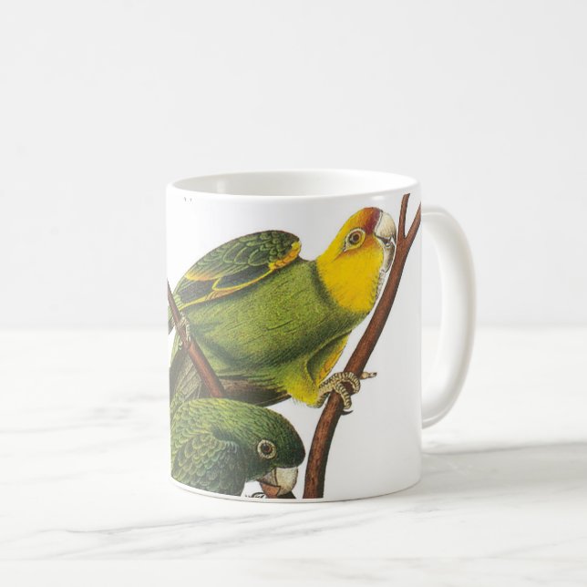 Mug Carolina Parakeet par Audubon (Devant droit)