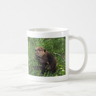 Mug Castor