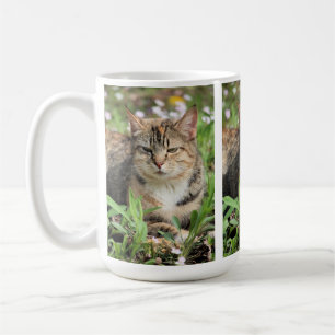 Mug Cat