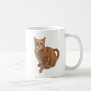 Mug Cat d'Orange debout
