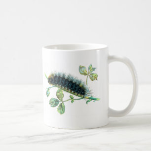 Mug Caterpillar Arctia caja