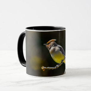 Mug Cèdre cire Songbird Photo originale Oiseau sauvage