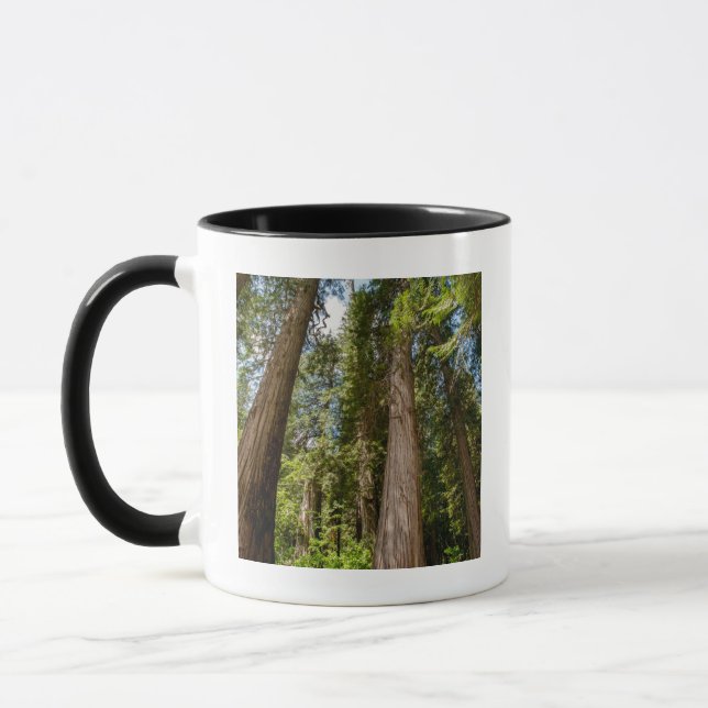 Mug Cèdres rouges de l'Ouest (Gauche)