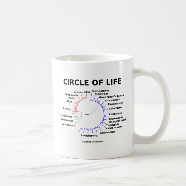 Mug Cercle de la vie (arbre phylogénétique circulaire) (Droite)