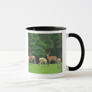 Mug Cerfs communs de Sika se tenant dans une clairière