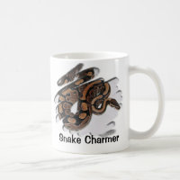 Charmeur de serpent