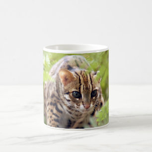 Mug Chat 004 du Bengale