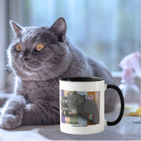 Chat British Shorthair Sandales Prêt pour la Plage