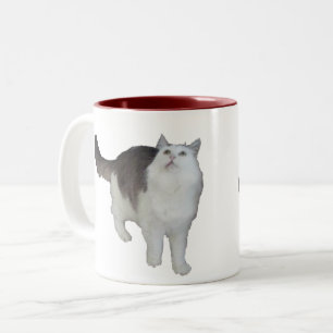 Mug - Chat concerné