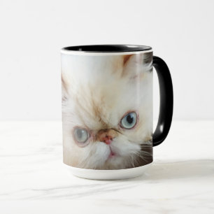 Mug Chat dans une boîte