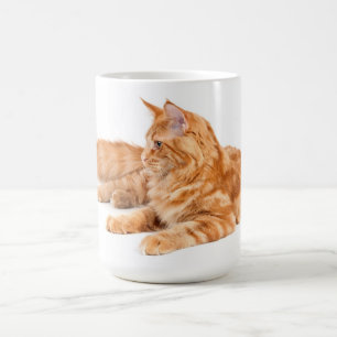 Mug Chat de ragondin du Maine