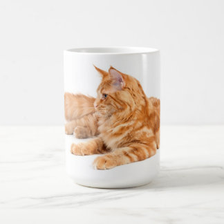 Mug Chat de ragondin du Maine