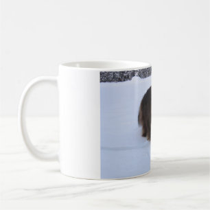 Mug chat des forêts norvégiennes dans la neige