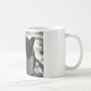 Mug Chat d'Oreo