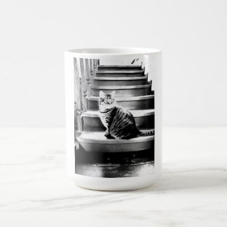 Mug Chat et escaliers