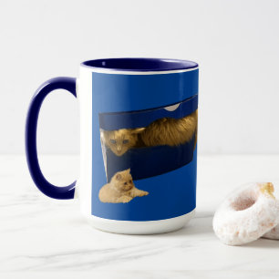 Mug Chat Gingembre Drôle Dans Une Boîte À Chaussure, M
