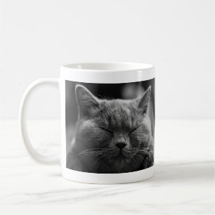 Mug Chat gris faisant une sieste