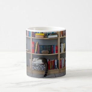 Mug Chat mignon dormant sur des livres de bibliothèque