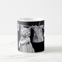 Chat mignon faisant la blanchisserie dans la copie