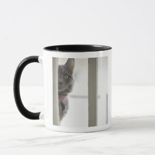 Mug Chat par la fenêtre