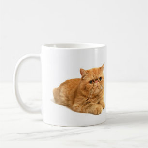 Mug Chat persan