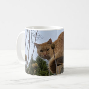 Mug Chat roux