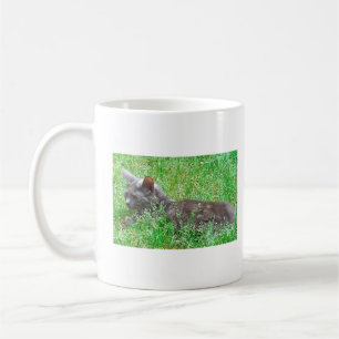 Mug Chat Tortie gris