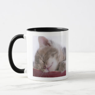 Mug Chaton dormant dans la cuvette 2