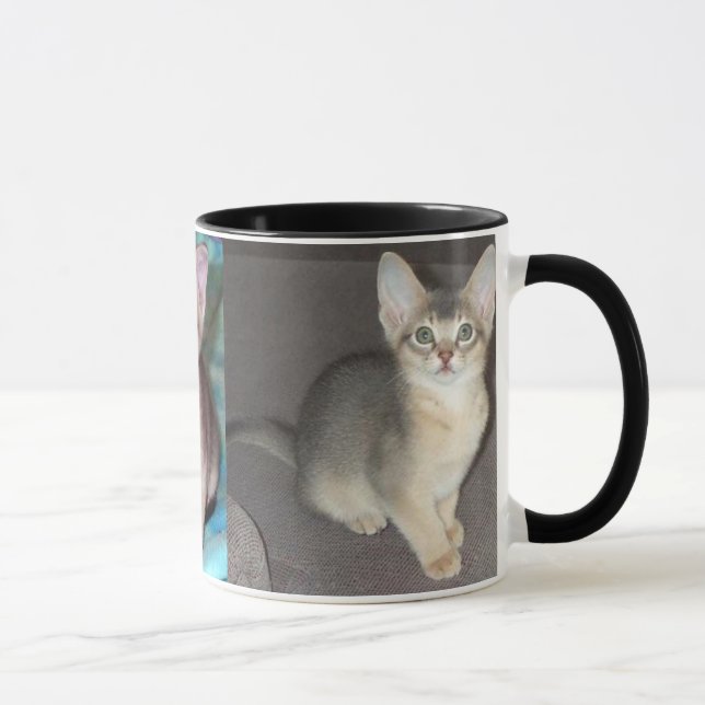 Mug Chaton mâle bleu abyssin (Droite)