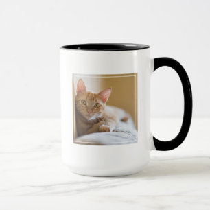 Mug Chaton se trouvant sur le divan