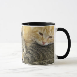 Mug Chatons d'abri
