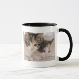 Mug Chatons de calicot