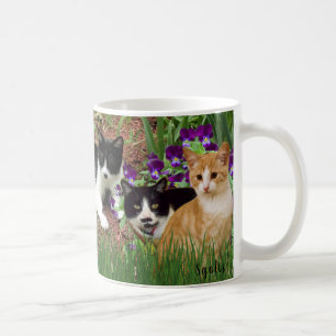 Mug Chats dans le jardin de fleurs / Collage de photos
