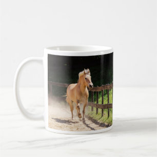 Mug Cheval norvégien du fjord - Finn